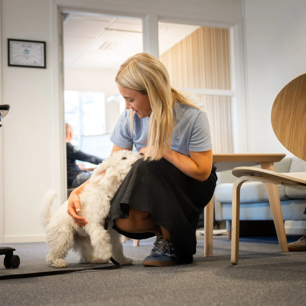 En medarbetare på GoProfessional sitter på huk och klappar en vit hund på kontoret